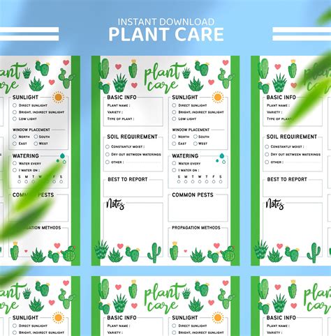 Plant Care Cards Printable